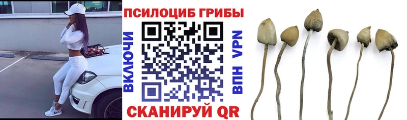 blacksprut зеркало  Анива  Галлюциногенные грибы ЛСД 